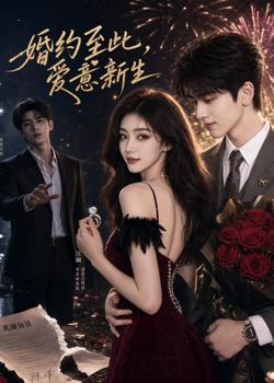 婚约至此,爱意新生