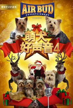 萌犬好声音4高清播放