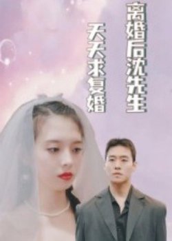 离婚后沈先生天天求复婚在线观看