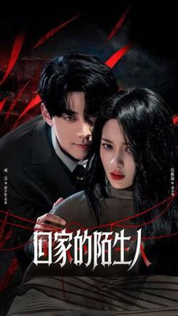 回家的陌生人高清播放