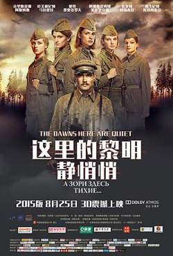 这里的黎明静悄悄高清播放