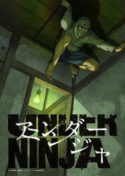 地下忍者高清播放