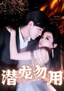 潜龙勿用高清播放