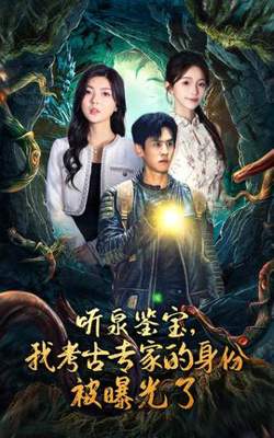 听泉鉴宝，我考古专家的身份被曝光了在线观看