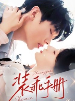 装乖手册高清播放