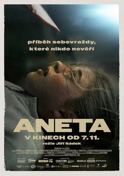 Aneta高清播放