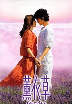 薰衣草国语高清播放