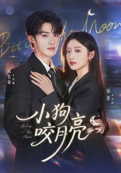 小狗咬月亮高清播放