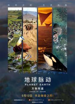地球脉动：万物有道预告片在线观看