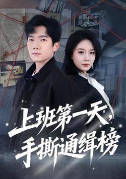 上班第一天，手撕通缉榜高清播放