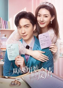 从离婚开始的爱情高清播放