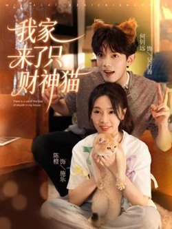 我家来了只财神猫高清播放