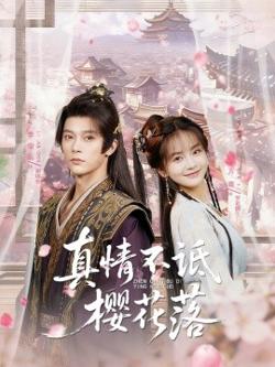 真情不诋樱花落高清播放