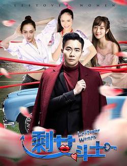 剩女斗士高清播放