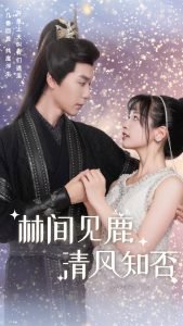 林间见鹿清风知否高清播放