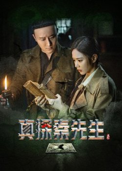 真探秦先生在线观看