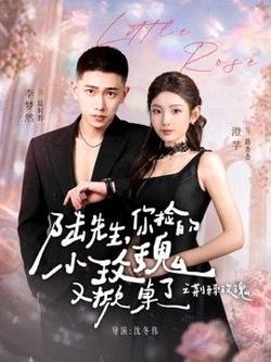 陆先生，你捡的小玫瑰又掀桌了之荆棘玫瑰（太子爷的小玫瑰又掀桌了）