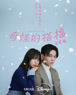 奇怪的搭档在线观看