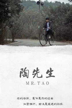 陶先生高清播放