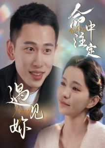 命中注定遇见妳高清播放