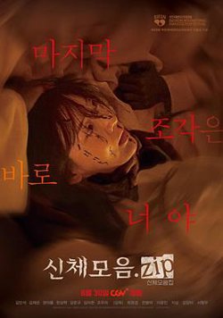 身体集合高清播放