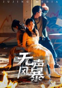 无声风暴高清播放