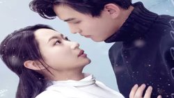 顶级偏爱高清播放