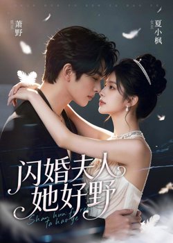 闪婚夫人她好野在线观看