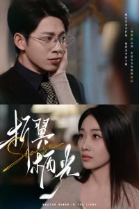 折翼栖光高清播放