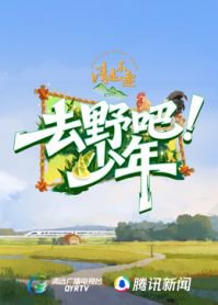 去野吧少年在线观看
