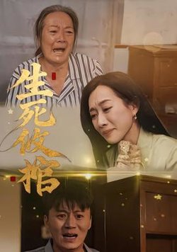 生死攸棺高清播放