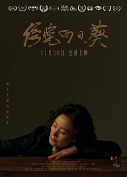 傍晚向日葵[预告片]在线观看
