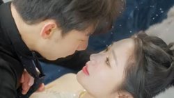 历总，夫人拒不离婚在线观看