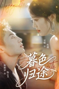 暮色归途高清播放