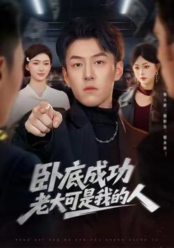 卧底成功老大可是我的人高清播放
