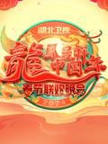 2024湖北春晚在线观看