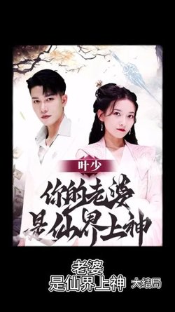 叶少，你的老婆是仙界上神高清播放