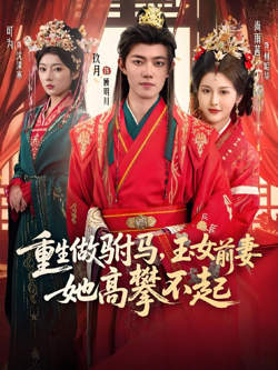 重生做驸马，玉女前妻她高攀不起在线观看