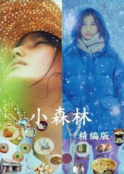小森林精编版高清播放