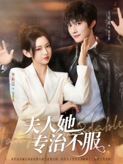 夫人她专治不服高清播放