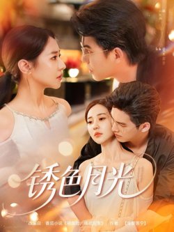 锈色月光高清播放