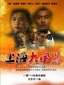 上海大风暴普通话版高清播放