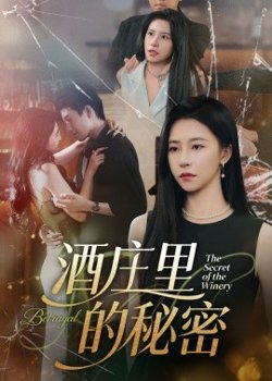 酒庄里的秘密高清播放