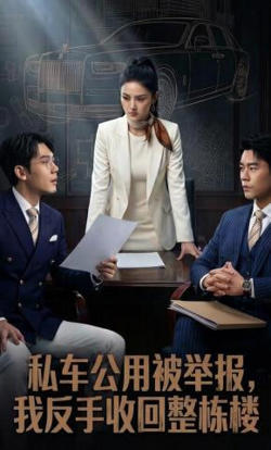 私车公用被举报,我反手收回整栋楼