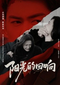 阳光的回响高清播放