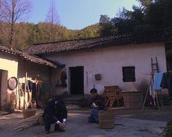 旭东在线观看