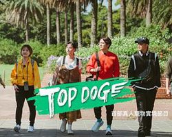 TOP DOG高清播放