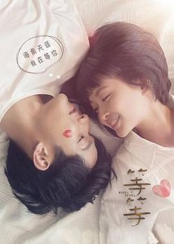 等·等高清播放