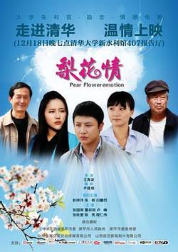 梨花情高清播放