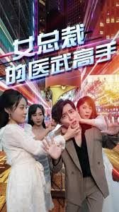 女总裁的医武高手高清播放